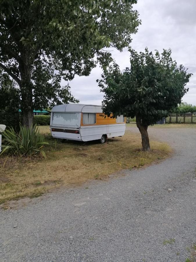 Rangiora Eco Holiday Park Fernside Dış mekan fotoğraf